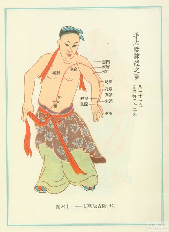 trajets de méridien illustré pour le shiatsu