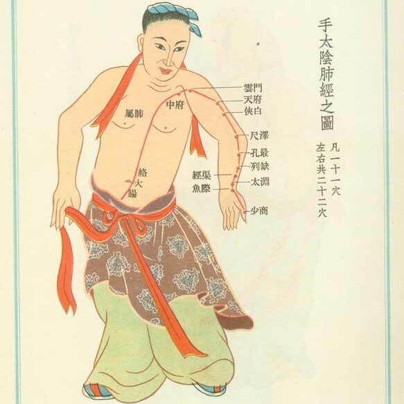trajets de méridien illustré pour le shiatsu