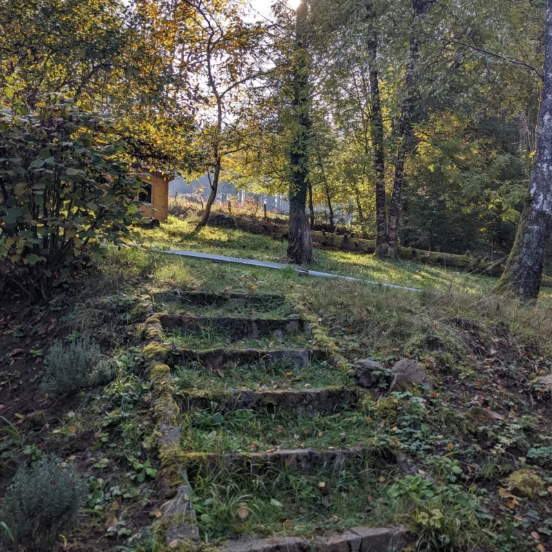 prenez le chemin du bien-être et de l'équilibre par le shiatsu et la sagesse du tao dans le Morvan