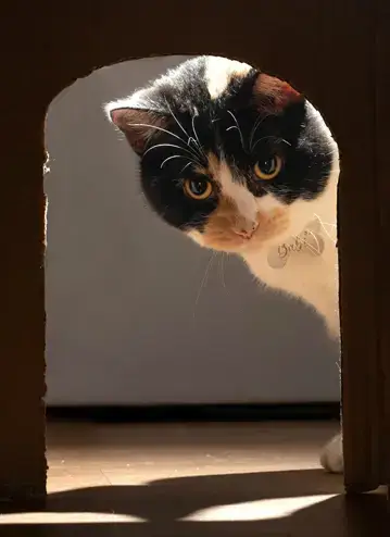 Epreuve de vie : Changer de regard
