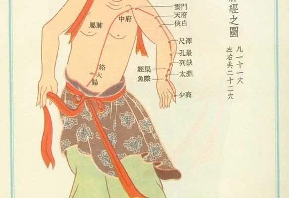 trajet de circulation de l'énergie du poumon utilisé lors du shiatsu.